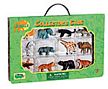 Wildlife Adventures Collector's Case