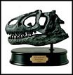 Allosaurus Dinosaur Skull Model