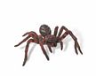 BullyLand Wolf Spider Model Toy
