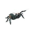 BullyLand Tarantula Model Toy - Bug Toys - Insect Toys