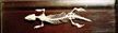 Lizard Skeleton w+Mounted Wooden Base