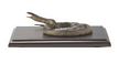 Non-Poisonous Snake Mount, scientific snake mount, stuffed snake model, real snake replica