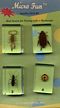 Micro Fun Specimens Bugs Set 4 (Scorpion, Predaceous Diving Beetla, Green Tiger Beetle, Lady Beetle)