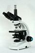 Trinocular Microscope