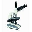 Trinocular Microscope