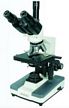 Trinocular Microscope