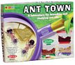 Ant Town Laboratory