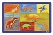 Animal Kingdom Placemat Gift Set