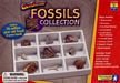 Geosafari Fossils Collection Kit (Real Fossils)