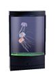 Magic Jellyfish with LED Lights