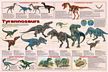 Tyrannosaurs Rex Dinosaur Poster (Laminated)