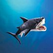 Folkmanis Great White Shark Hand Puppet