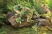 Folkmanis Leopard Frog Hand Puppet