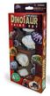 Dinosaur 3-D Magnet Paint Sets