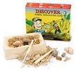 Fossil Excavation Kit