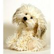GUND Dreyfus Dog