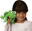 Life Cycle Reversible Frog