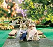 Calico Critters Cottontail Rabbit Grandparents