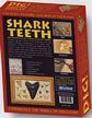 Shark Teeth Dig Kit