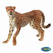 Papo Cheetah Toy Model