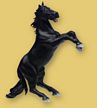 Papo Reared Up Horse Black Toy Model
