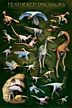 Feathered Dinosaurs Poster-Rolled and Sleeved