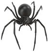 Hidden Kingdom Black Widow Spider Model Toy - Bug Toys - Insect Toys