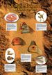 Ancient Dinosaur Discoveries Poster (Laminated)