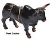 Rodeo Champions Bull- Bone Doctor