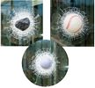 WINDOW CRACKS - BASEBALL