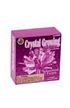 Crystal Growing Kit-Amethyst Purple, crystal growing kit, science kit, toysmith, kids crystal growin