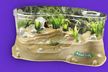 Uncle Milton's Planet Frog - kids frog container - frog kit - frog toy