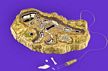 Uncle Milton's Dino Xcavator - dino dig - dinosaur excavation kit - kids dig a dino