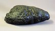 Shark Corprolite Fossil Replica