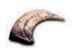 Velociraptor Dinosaur Claw Replica