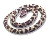 Rock Python Snake Rubber Toy 26