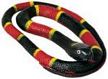 Large Coral Rubber Snake 72