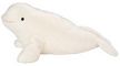 Cuddlekins Beluga 12