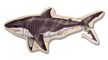 Great White Shark Floor Puzzle