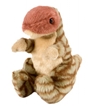 Itsy Bitsy T-Rex 5