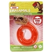 T-Rex Erasamals