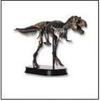 Dinostoreus Finished Models / Dinosaur Skeleton Replicas
