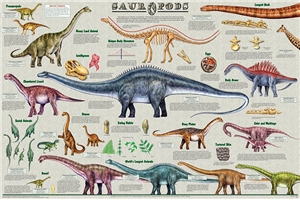 Sauropods Dinosaur  Poster - Laminated
