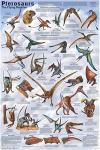 Pterosaurus Dinosaur Poster - Laminated