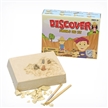 Rock and Crystal Excavation Kit - rocks for sale - buy rocks