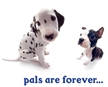 Pals Poster