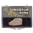 Genuine Fossil Dinosaur Bone Natural