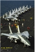 Ugly Box: Grumman F-14 Tomcat Poster 