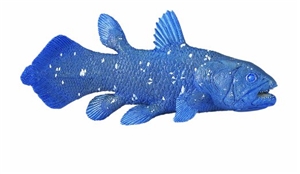 coelacanth toy