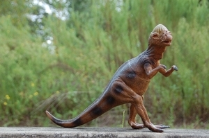 pachycephalosaurus toy